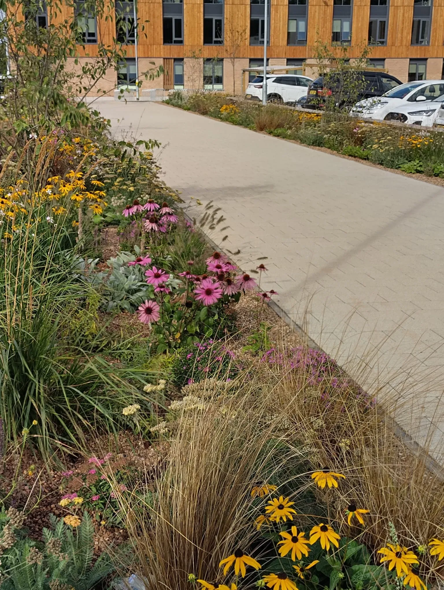 Oakley Grove All Through School — project photograph