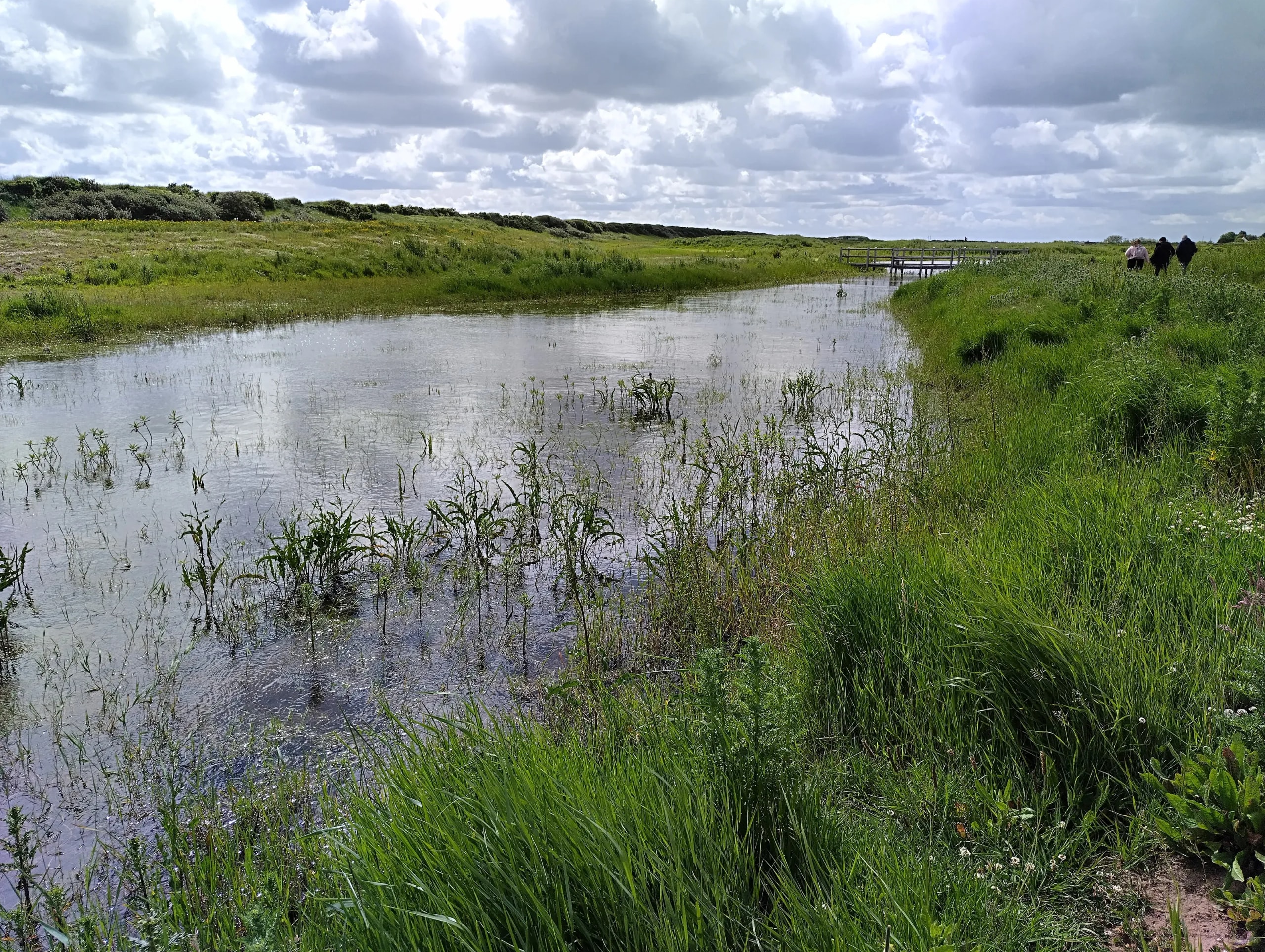 Sandilands Nature Reserve — project photograph