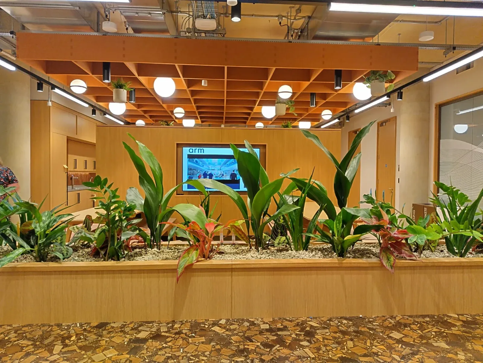 Arm Biophilic Workplace — project photograph